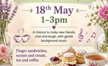 Next Social Afternoon